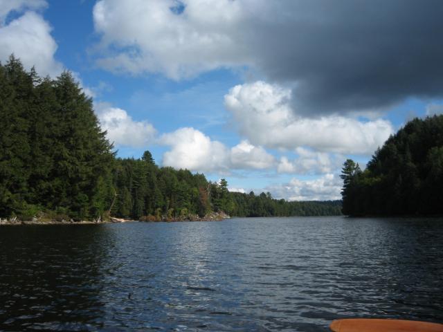 IMG_0409.jpg